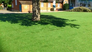large artificial grass area
