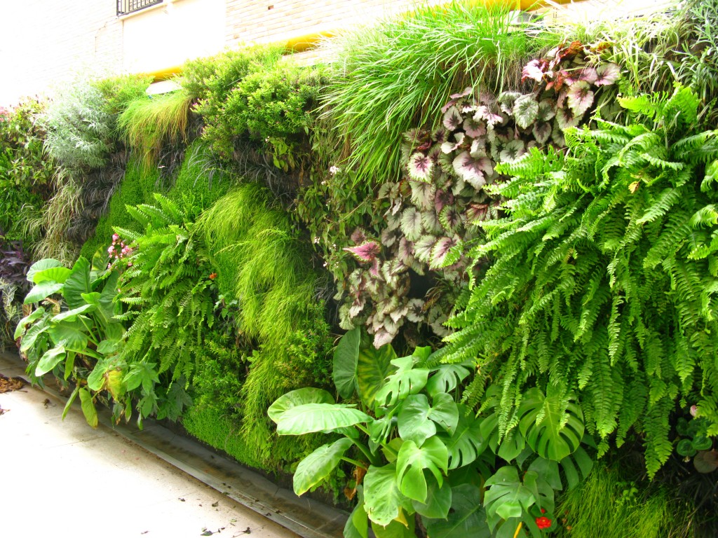 Fabric Living Wall System Design Buy Build